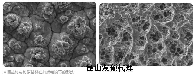 奉节蔡司奉节扫描电镜