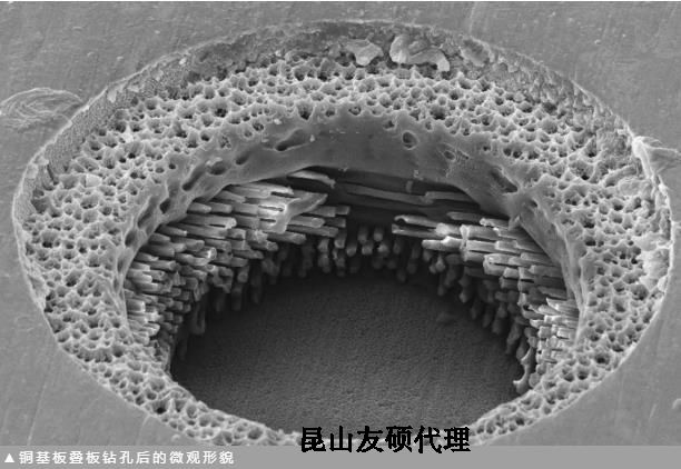 奉节蔡司奉节扫描电镜